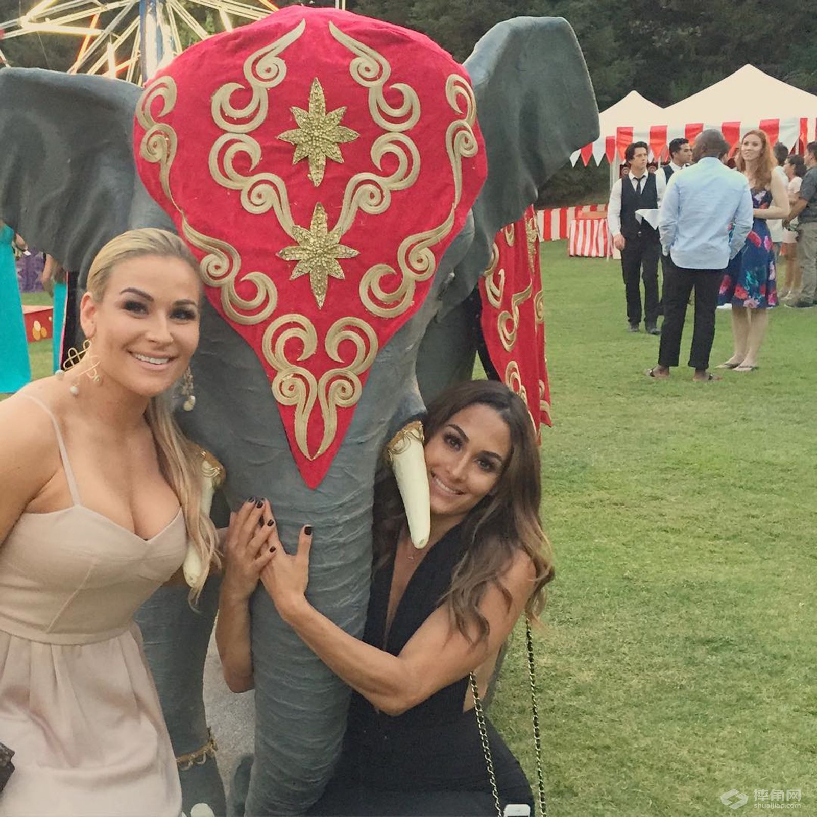 本周25张最佳的Instagram照片45