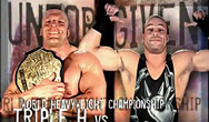 WWE杀无赦2002 Triple H vs Rob Van Dam