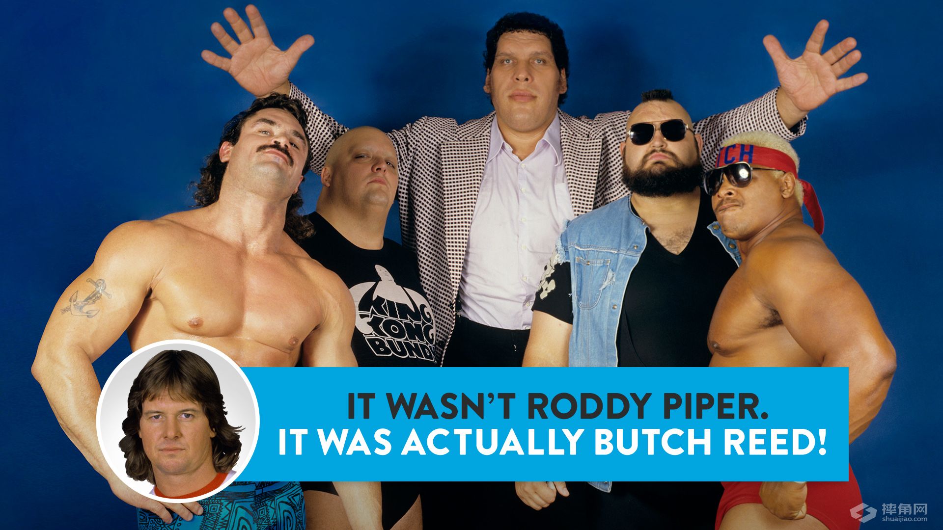 强者生存知多少，你能认出假队员吗？