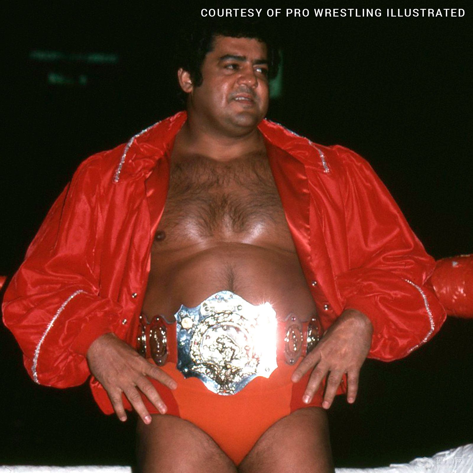 WWE史上最全洲际冠军获得者名单