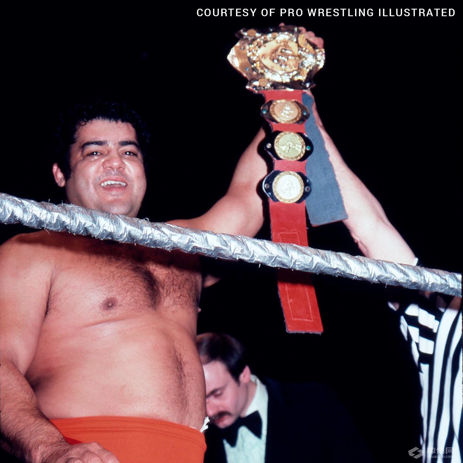 WWE史上最全洲际冠军获得者名单