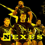 The New Nexus