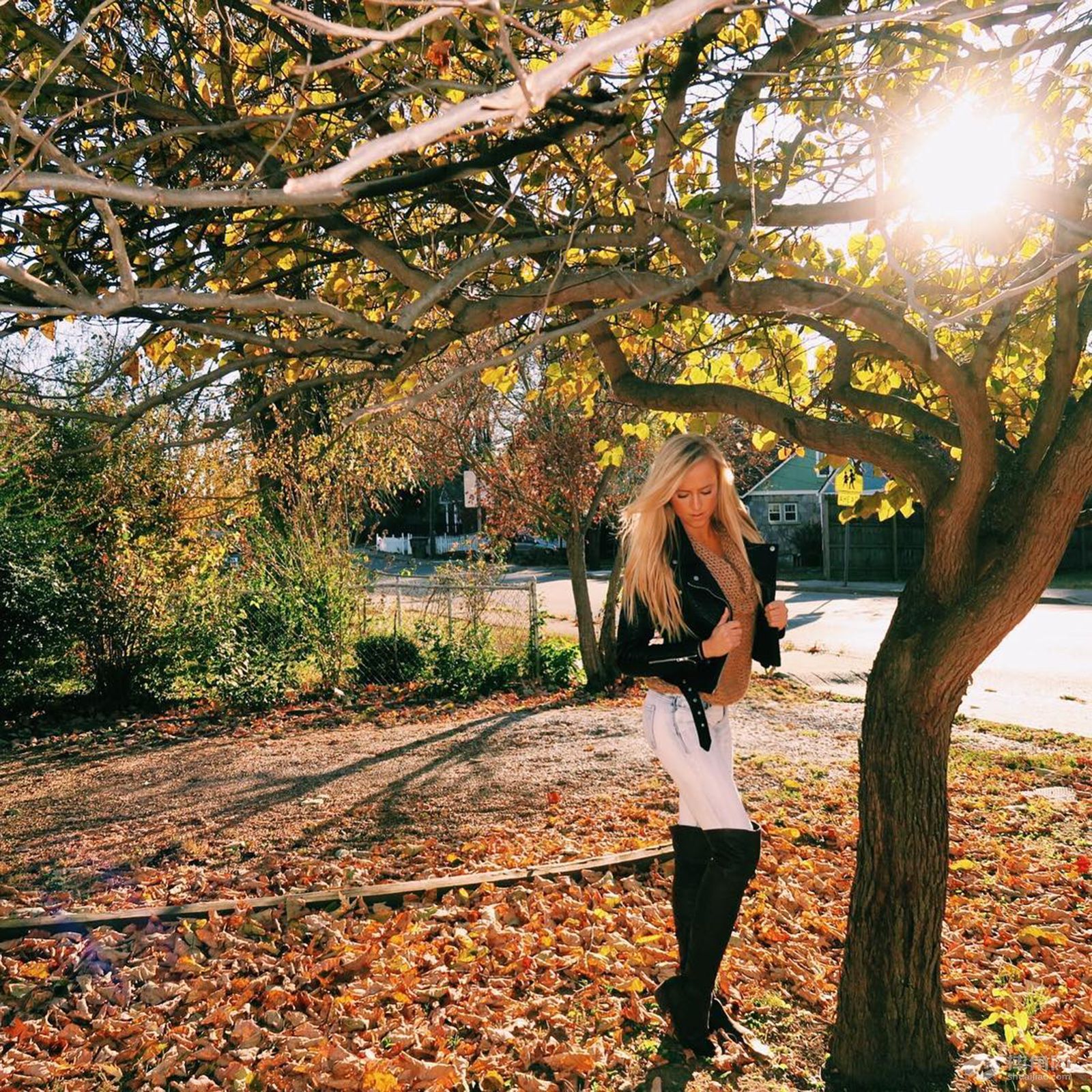 Instagram最佳照片，Y2J你赢了！