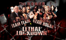 【橙子解说】Hogan战队 VS. Flair战队 TNA致命幽闭赛