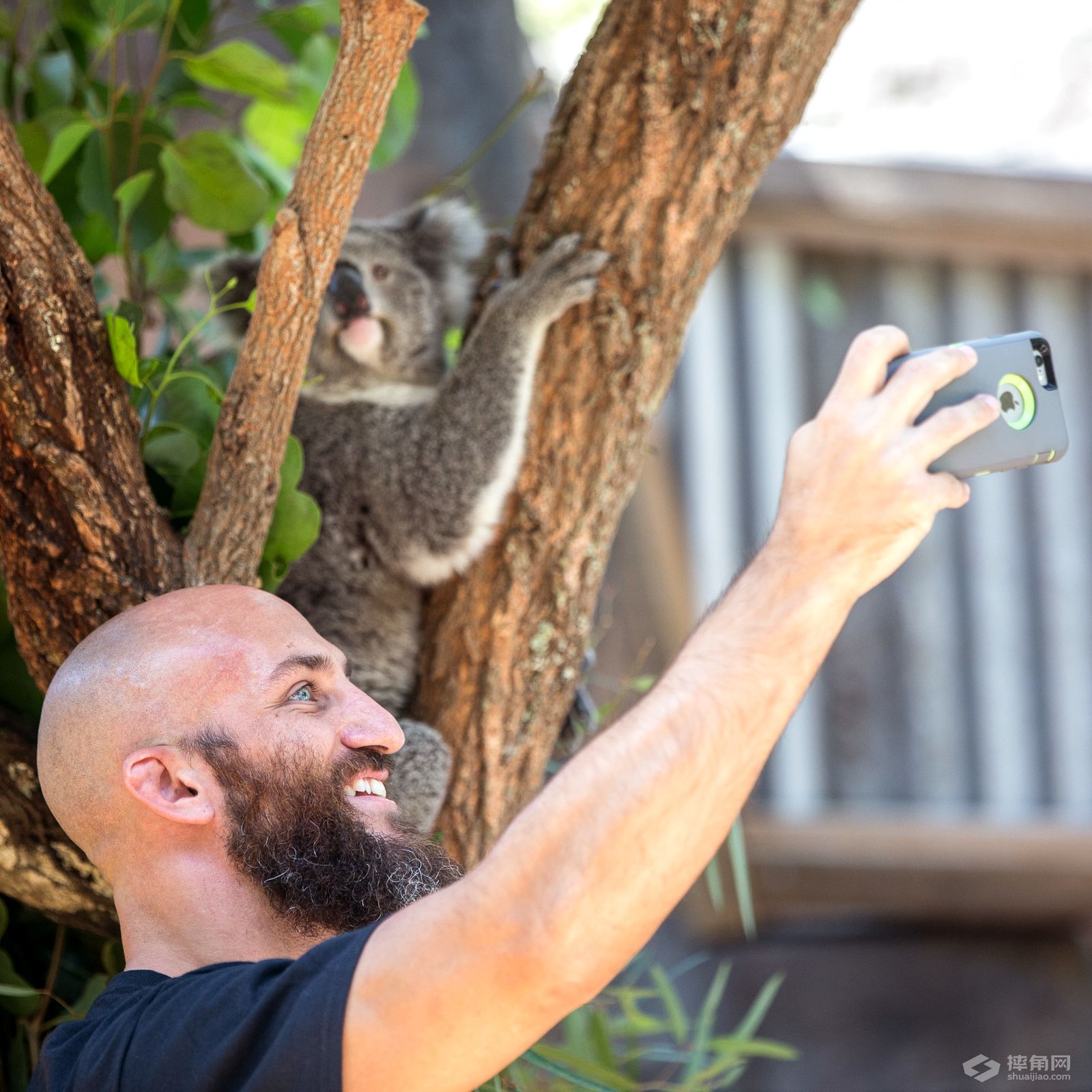 NXT明星参观悉尼动物园！