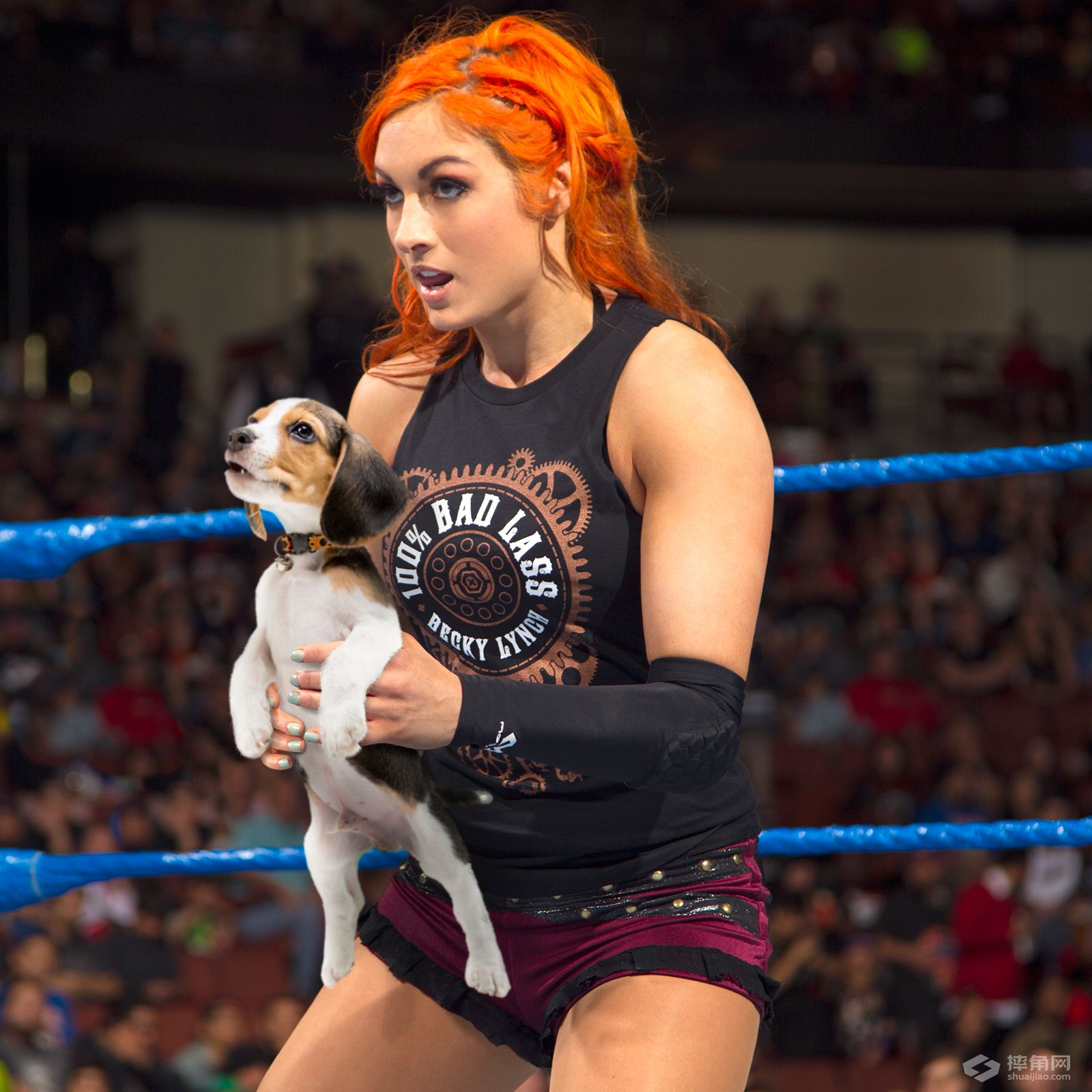 萌爆了！宠物和主人表情神同步！