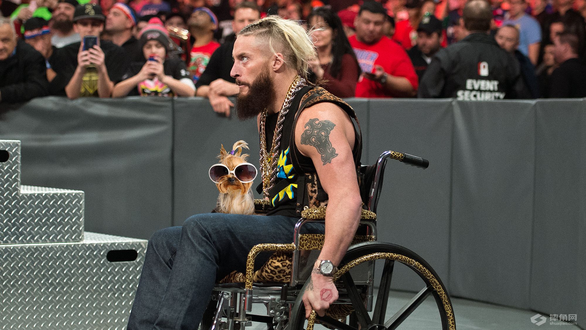 萌爆了！宠物和主人表情神同步！