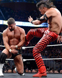 WWE NXT TakeOver：Orlando