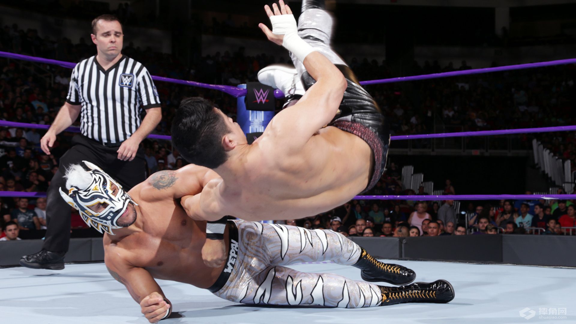 诺姆达尔和狐狸姐能否一起回归？《WWE 205 Live 2017.05.03》