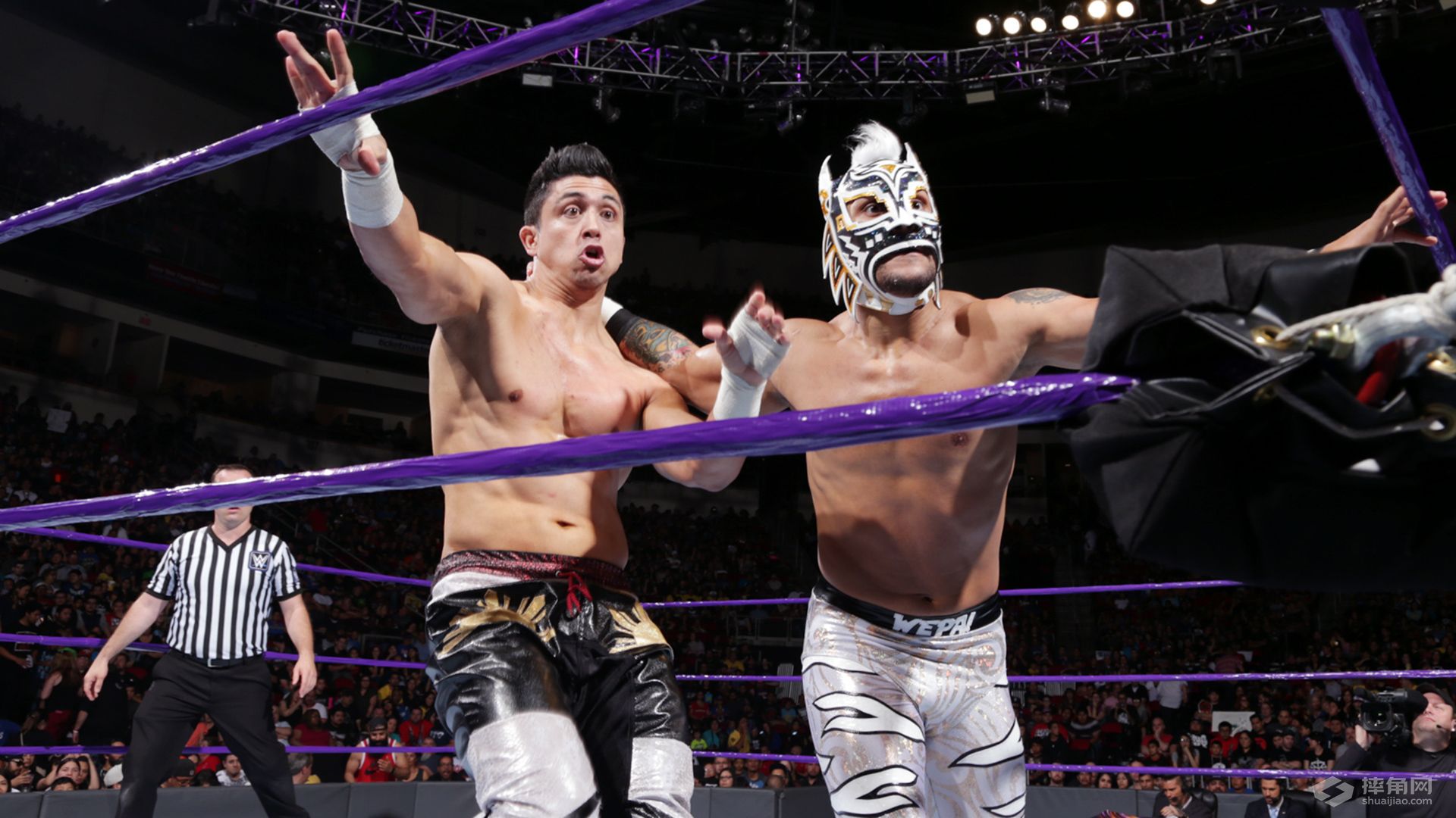 诺姆达尔和狐狸姐能否一起回归？《WWE 205 Live 2017.05.03》