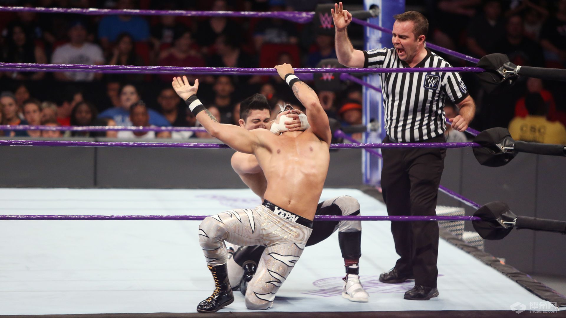 诺姆达尔和狐狸姐能否一起回归？《WWE 205 Live 2017.05.03》
