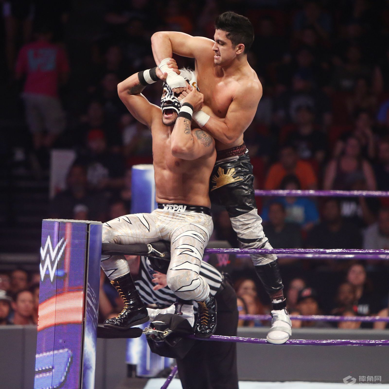 诺姆达尔和狐狸姐能否一起回归？《WWE 205 Live 2017.05.03》