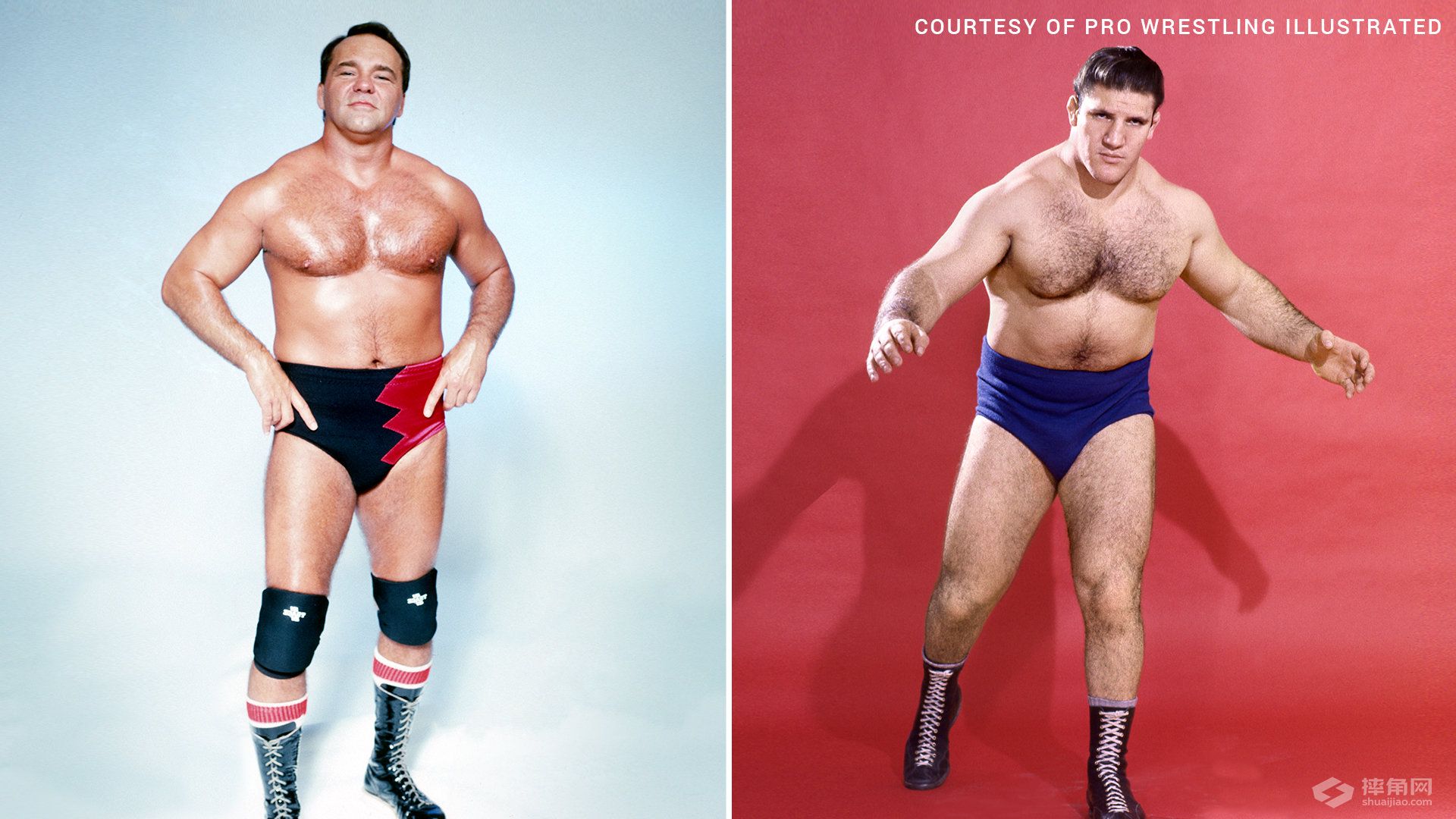 谁训练了你最喜欢的WWE巨星？WWE巨星和他们的导师！