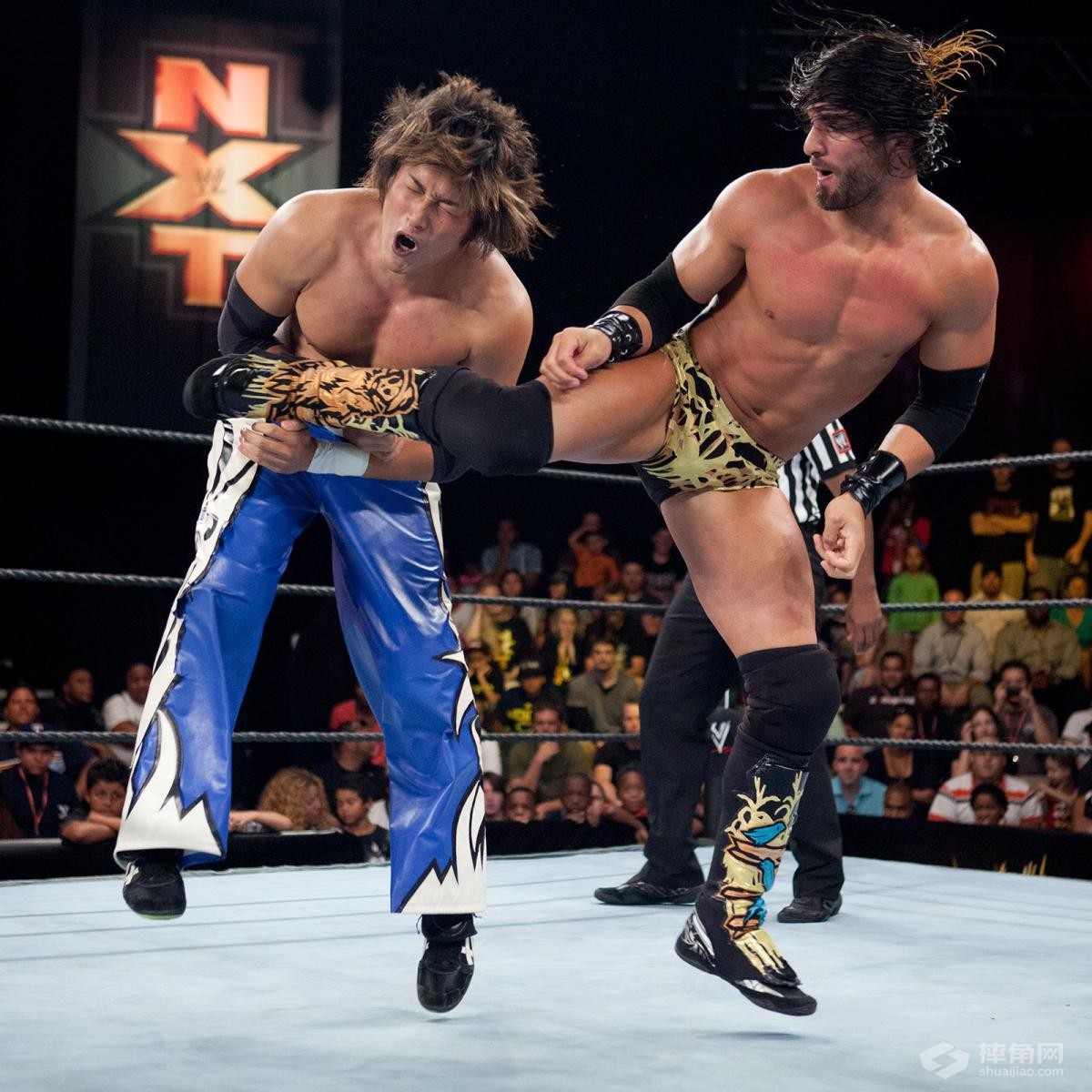 原来他们都曾征战过NXT！小妖精以前好清秀啊！