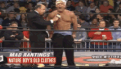 WWE十大疯言疯语：瑞克·佛莱尔发飙当众脱裤子！