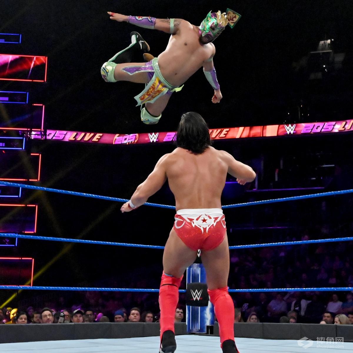 谁将晋级下一轮轻量级锦标赛？《WWE 205 Live 2019.02.28》