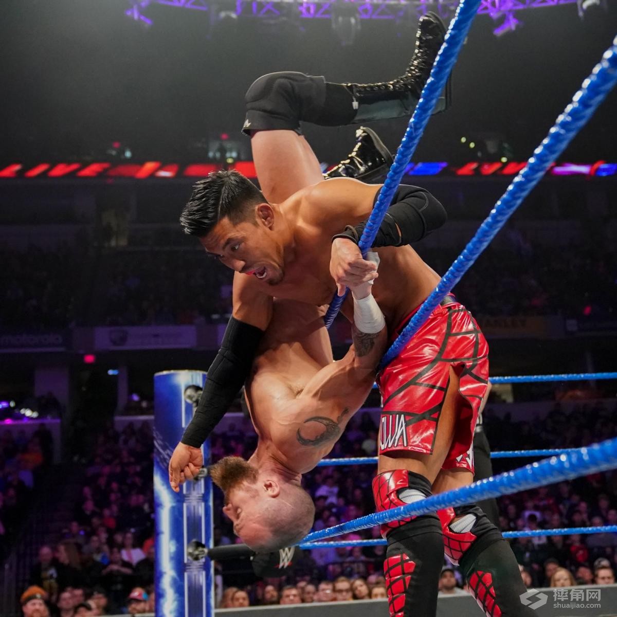 巴迪·墨菲给摔角狂热上的挑战者一个下马威！《WWE 205 Live 2019.03.21》