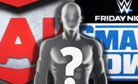 WWE再度迎来转会期，如今两位明星已正式实现转会！