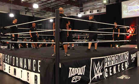 WWE日本训练中心有望今年正式运营，具体详情细节曝光！