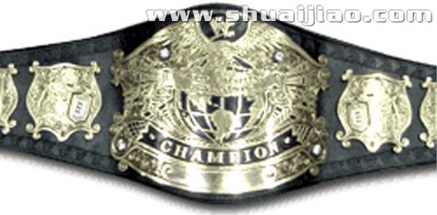 WWE各冠军总数排行榜