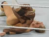 NXT 2011.03.30