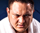 Samoa Joe ：五年内TNA将会蒸蒸日上