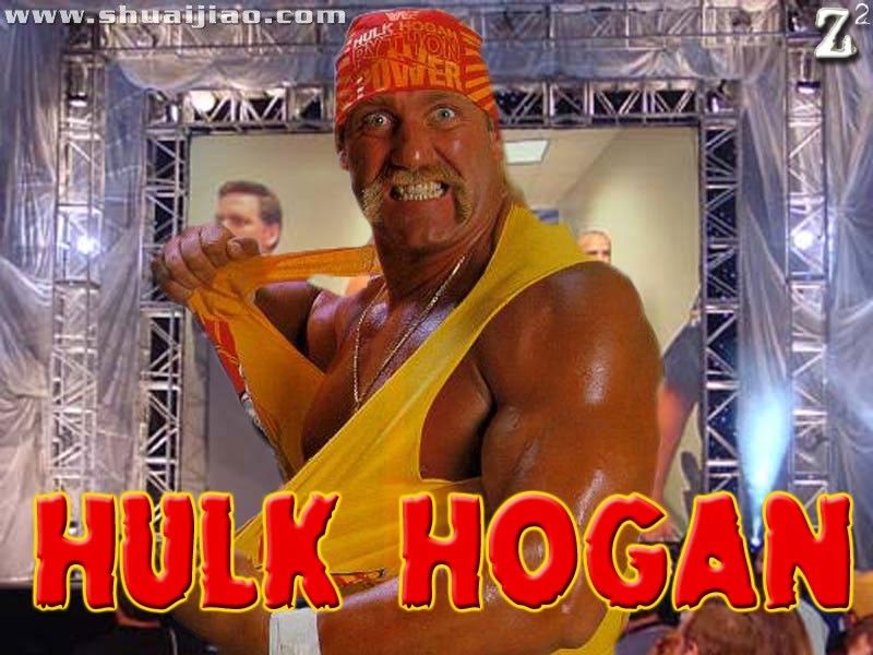TNA Hulk Hogan高清桌面
