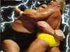 WrestleMania 4比赛视频
