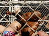 ECW 2007.02.28