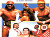 SummerSlam 1988比赛视频