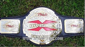 TNA X-组别冠军简介