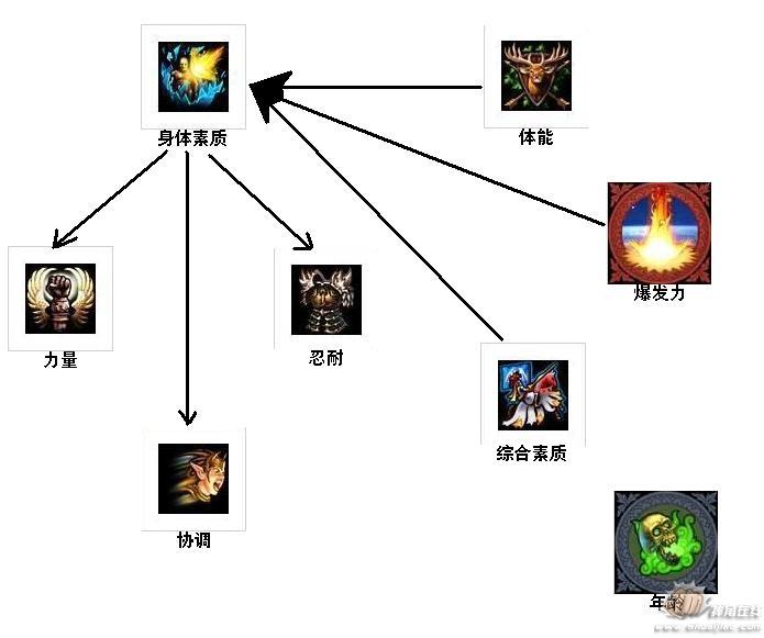 伪非摔迷的传奇巨星速成训练班