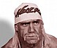 RAW又将改头换面 WWE遭遇销售危机