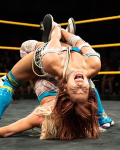 WWE NXT 2018.07.19 309期