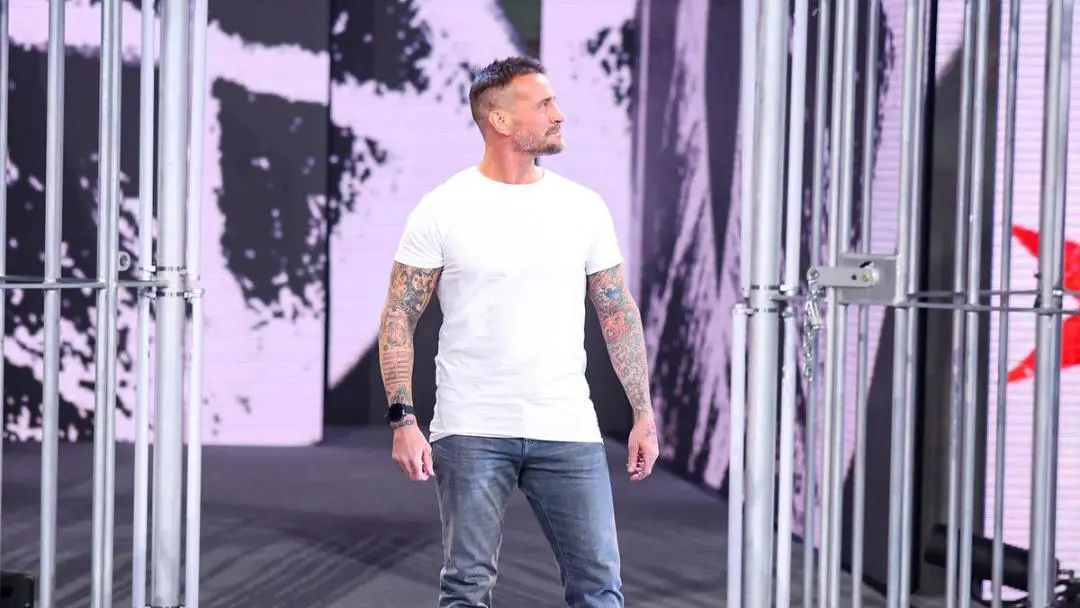 WWE传奇巨星爆猛料，王大锤擅自更改剧情，要求单挑CM朋克！