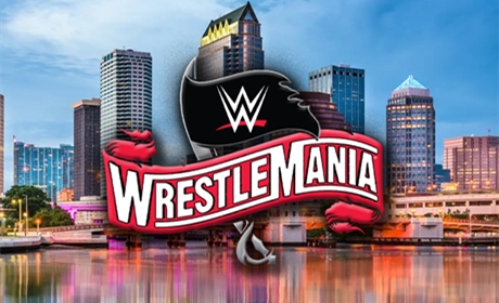 WWE《摔角狂热37》现场所能允许容纳的观众人数大曝光！