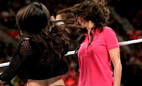 WWE切尔西·格林感激贝拉姐妹：感谢你们对我最真的爱！