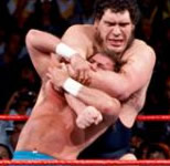 WrestleMania 5比赛图片