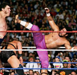 WrestleMania 6比赛图片