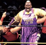 WrestleMania 10比赛图片