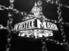 WWE密室铁笼内部结构剖析