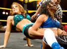 六人大战《NXT 2013.03.07》