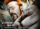 WWE极限规则2013官方高清桌面