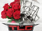 WWE TLC2013官方高清海报