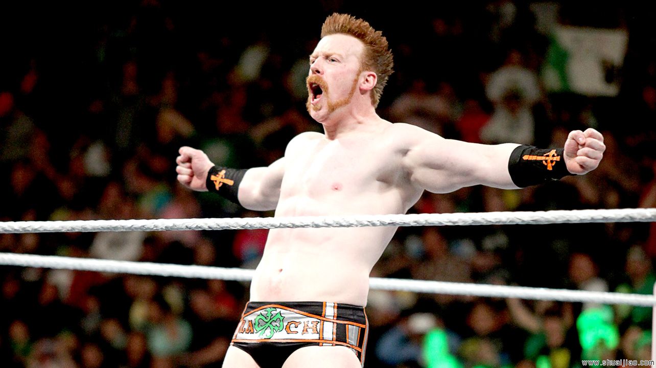 希莫斯 vs 兰迪·奥顿《RAW 2014.02.18》 希莫斯 vs 兰迪·奥顿《RAW 2014.02.18》