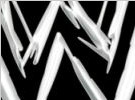 WWE2014年度计划大披露