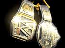 斯蒂芬妮剥夺丹尼尔的世界重量级冠军腰带《Raw 2014.06.10》