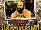 TNA Slammiversary 2014比完整比赛图片