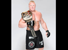 WWE世界重量级冠军历届获得者