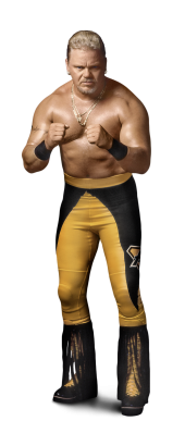 沙恩·道格拉斯(Shane Douglas)